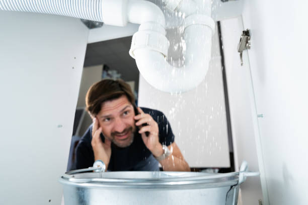 Best Plumbing Repair Near Me  in Licking, MO