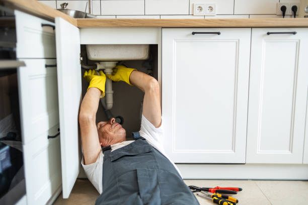 Best Plumbing Inspection Services  in Licking, MO