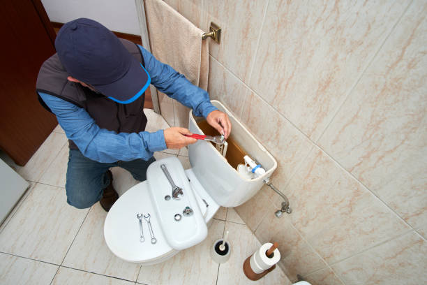 Best Plumbing Services Near Me  in Licking, MO