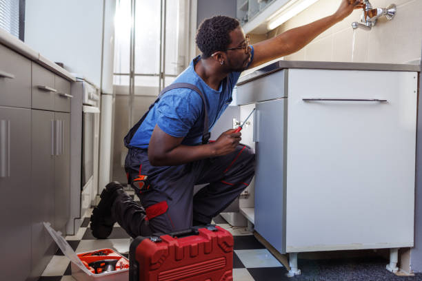 Best Plumbing Services Near Me  in Licking, MO
